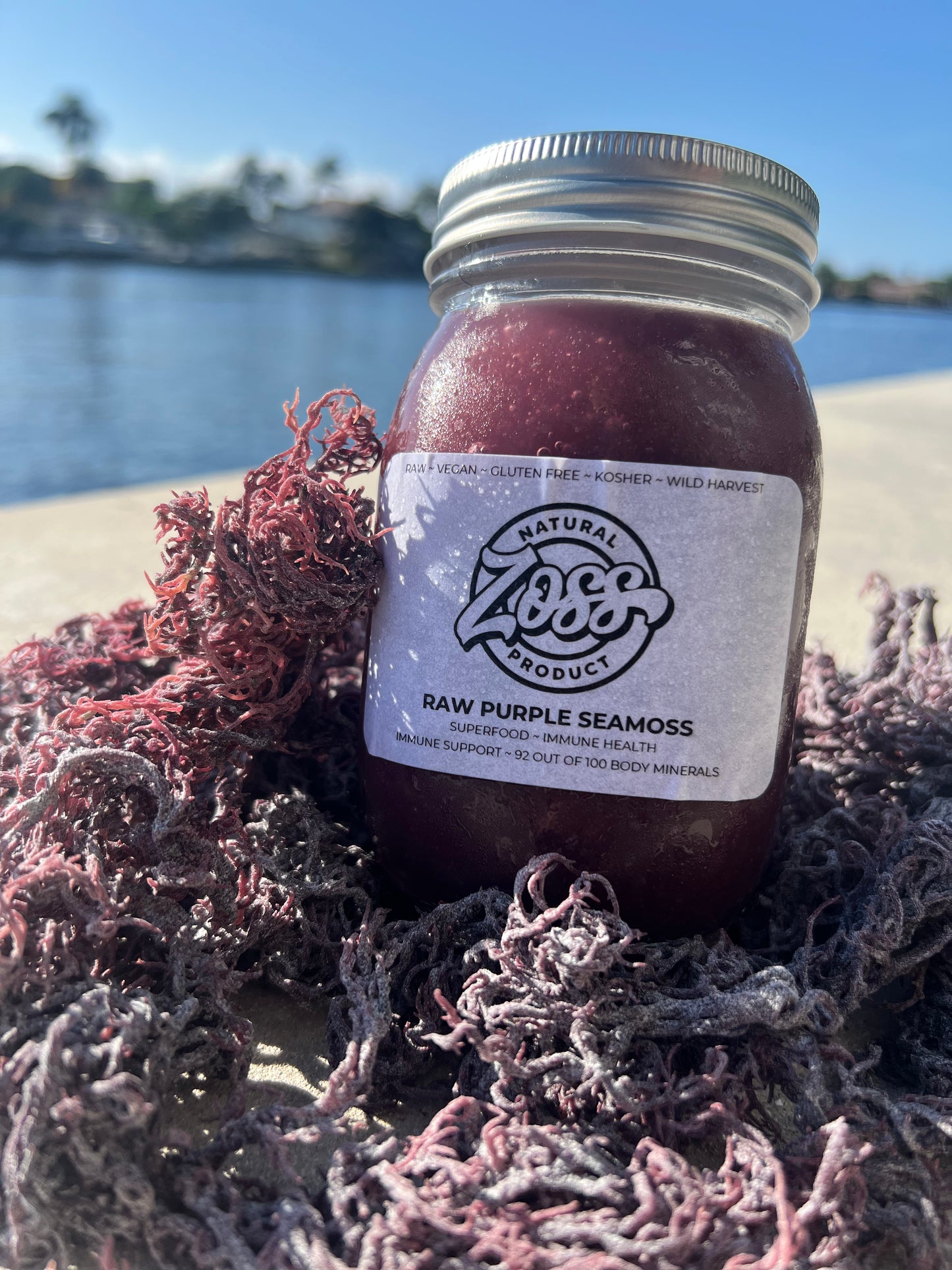 Purple St Lucia Sea Moss